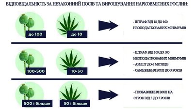Мак-2020: на Вінниччині розпочалась оперативно-профілактична операція Мак-2020: на Вінниччині розпочалась оперативно-профілактична операція