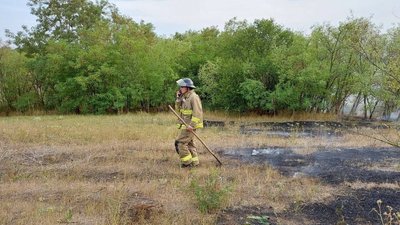 В Одеській області горіли понад 28 гектарів лісу. ФОТО В Одеській області горіли понад 28 гектарів лісу. ФОТО
