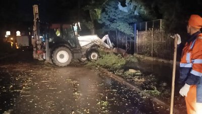 У Криму сильний вітер повалив дерева та стовпи: наслідки негоди 18-19 жовтня
