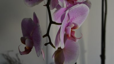 Історія дружини військового, яка дочекалася чоловіка з полону, а тепер допомагає йому в тилу, поки той на фронті Історія дружини військового, яка дочекалася чоловіка з полону, а тепер допомагає йому в тилу, поки той на фронті