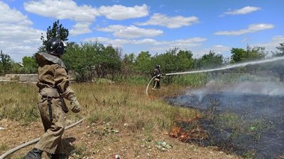 На Одещині горіло понад 4 гектари сухої трави