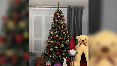 Як виглядають ялинки мешканців Сумщини за 30 км від кордону з РФ Як виглядають ялинки мешканців Сумщини за 30 км від кордону з РФ