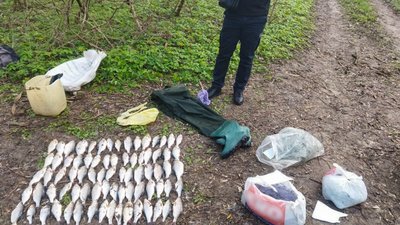 На Черкащині двоє чоловіків незаконно виловили рибу на понад 160 тисяч гривень