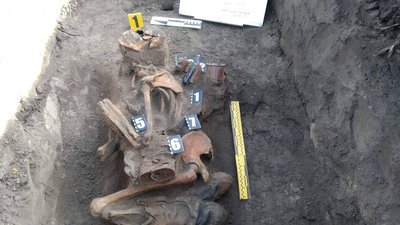 На Полтавщині перепоховали рештки загиблих у Другій світовій війні На Полтавщині перепоховали рештки загиблих у Другій світовій війні