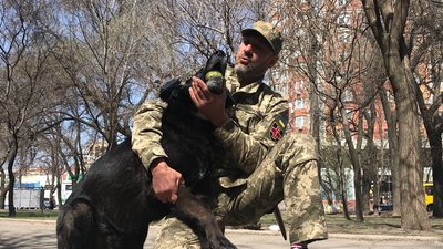 Шукає зброю та допомагає у затриманні. В Одесі на блокпостах разом з військовими несе службу пес Кай Шукає зброю та допомагає у затриманні. В Одесі на блокпостах разом з військовими несе службу пес Кай