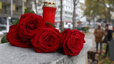 "Страшний стрес". Жителька Відня з України розповіла про теракт і реакцію австрійців