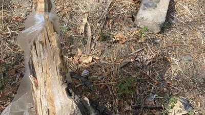 В Одесі 9-річний хлопчик з інвалідністю три дні жив у парку