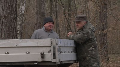 Секрети заготівлі та консервування березового соку на Волині Секрети заготівлі та консервування березового соку на Волині