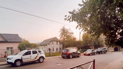 На Франківщині пасажир автомобіля, який зупинили за порушення ПДР, вдарив поліцейського