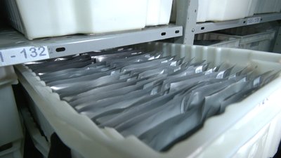 Як працює національний генетичний банк рослин у Харкові Як працює національний генетичний банк рослин у Харкові
