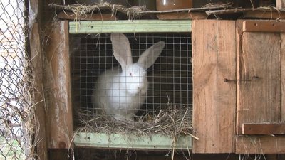 Не п'ють, не курять, починають нове життя: про реабілітаційний центр на Черкащині Не п'ють, не курять, починають нове життя: про реабілітаційний центр на Черкащині