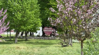 Парк нащадків історичних дерев