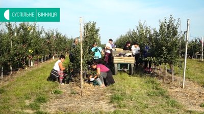 Гумванатаж на Схід відправляють у Вінниці Гумванатаж на Схід відправляють у Вінниці