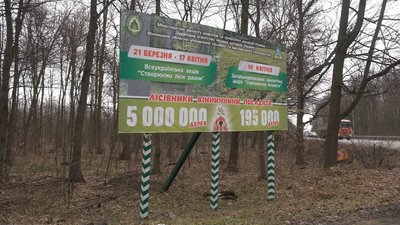 У вінницьких лісгоспах планують висадити 5 мільйонів сіянців за 2 тижні