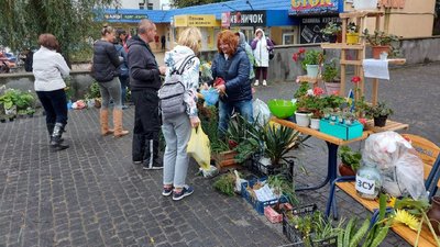 "Квіти для лицарів": у Малині на Житомирщині на благодійному квітковому ярмарку збирали гроші для ЗСУ