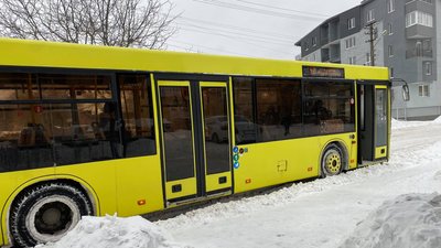 Сніг з дощем. У Львові висота снігового покриву 11 сантиметрів Сніг з дощем. У Львові висота снігового покриву 11 сантиметрів