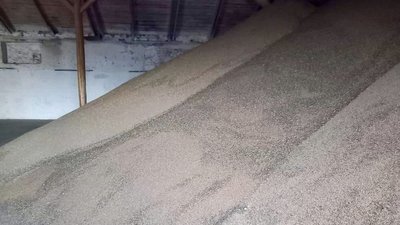 На полях Снігурівщини завершився збір врожаю коріандру На полях Снігурівщини завершився збір врожаю коріандру