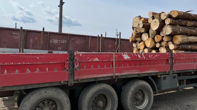 Понад 1000 кубометрів деревини відправили із Закарпаття в Миколаївську і Дніпропетровську області Понад 1000 кубометрів деревини відправили із Закарпаття в Миколаївську і Дніпропетровську області