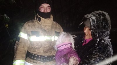 У Запоріжжі врятували собаку