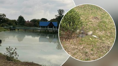 Калуш, вода, риба, качки, Івано-Франківщина