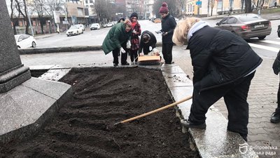 міськрада Дніпра, тюльпани