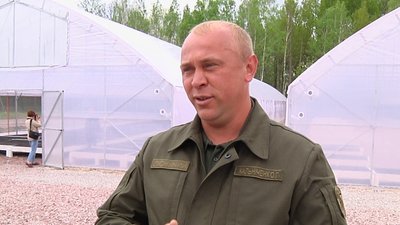 На півночі Житомирщини в теплицях вирощують 400 тисяч сіянців сосни На півночі Житомирщини в теплицях вирощують 400 тисяч сіянців сосни