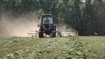 Черкаські фермерські господарства через війну не можуть продати "живий товар" Черкаські фермерські господарства через війну не можуть продати "живий товар"