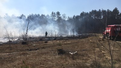 На Волині горять торфовища