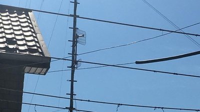На Миколаївщині чоловік організував на дому місце доступу в Інтернет
