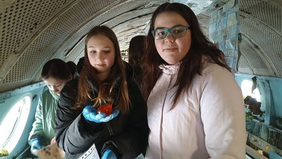 Більше 650 людей долучилися до благодійного квесту у літаку в парку Житомира Більше 650 людей долучилися до благодійного квесту у літаку в парку Житомира