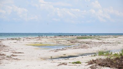 На острові Джарилгач на Херсонщині відбувся забіг На острові Джарилгач на Херсонщині відбувся забіг