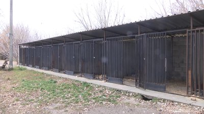 У Житомирі облаштували п'ять нових вольєрів для собак, яких забрали з вулиці У Житомирі облаштували п'ять нових вольєрів для собак, яких забрали з вулиці