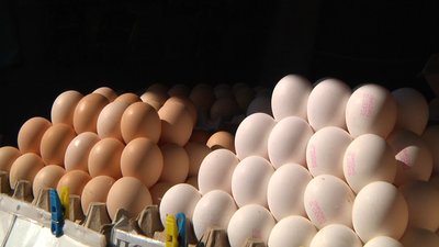 У Житомирі здешевшали яйця, а морква та цибуля подорожчали