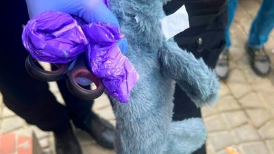 Іграшка, у якій виявили психотропні речовини у Харкові
