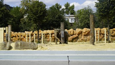 У Харкові після реконструкції частково відкрили зоопарк: фоторепортаж У Харкові після реконструкції частково відкрили зоопарк: фоторепортаж