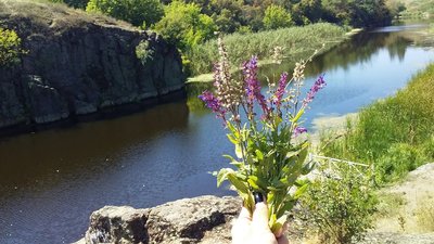 Мандруємо Черкащиною: Кам'янські дива — сакури, водяна екскурсія та "зелений будиночок" Мандруємо Черкащиною: Кам'янські дива — сакури, водяна екскурсія та "зелений будиночок"