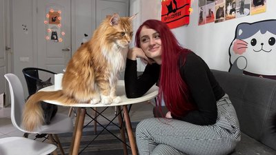 котокафе, коти, Кривий Ріг