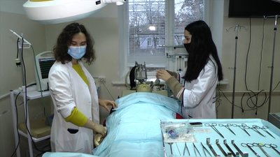 Як організовують навчальний процес у вишах Миколаєва Як організовують навчальний процес у вишах Миколаєва