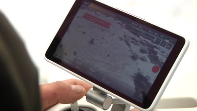 Лісівники Житомирщини розпочали підрахунок кількості звірів у лісах області Лісівники Житомирщини розпочали підрахунок кількості звірів у лісах області