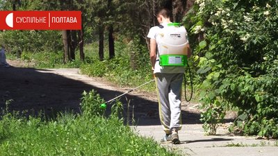 Комунальник обприскує амброзію Комунальник обприскує амброзію