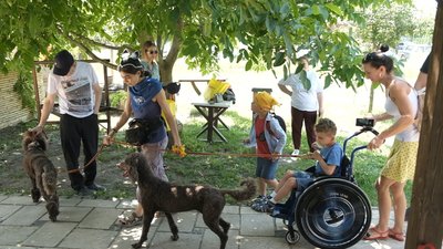 На Вінниччині організували каністерапія для дітей з інвалідністю та переселенців На Вінниччині організували каністерапія для дітей з інвалідністю та переселенців