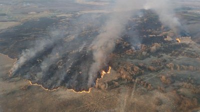 На Харківщині понад півсотні пожеж сухостою за добу