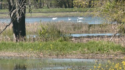 Наслідки водопілля для фермерства