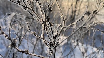 Погода на 1 лютого