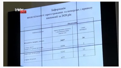 "Ніяких відхилень": у Харкові назвали статистику смертей від пневмонії за останні роки "Ніяких відхилень": у Харкові назвали статистику смертей від пневмонії за останні роки