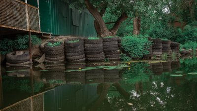 Чому в Запоріжжі люди гребуть Чому в Запоріжжі люди гребуть