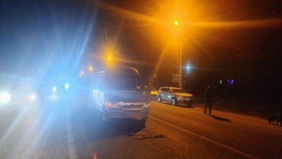 На Тернопільщині водій збив дитину, наїхав на дівчинку, Ангелівка