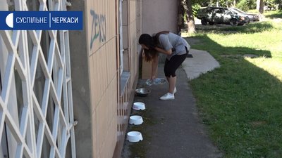 Черкасців закликали подбати про воду для безпритульних тварин Черкасців закликали подбати про воду для безпритульних тварин