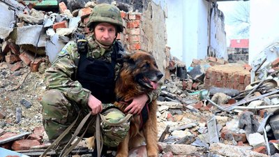 Службові собаки допомогли розкрити понад 80 злочинів в Донецькій області