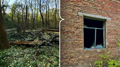 На Кіровоградщині вибухова хвиля пошкодила Олександрійське лісництво